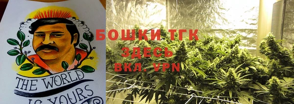 экстази Арсеньев