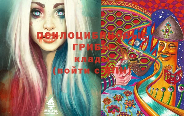 экстази Арсеньев