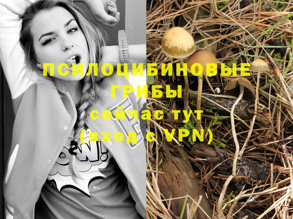 экстази Арсеньев